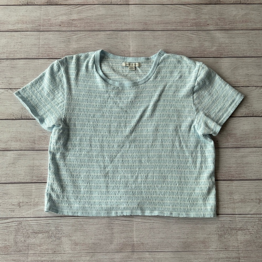 American Eagle Striped Crop Top